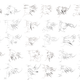 Illustration for article titled 30 Previously-Unknown Species of Fly Discovered in Los Angeles